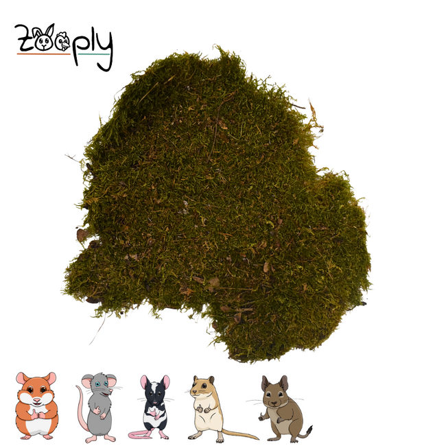 Knaagdiermos – Gedroogd mos voor knaagdieren - Perfect voor scapings - 250 gram