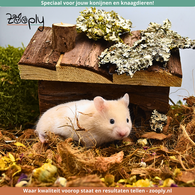 Hendrik house for dwarf hamsters, mice and gerbils - 14 × 11 × 11 cm - Bark wood