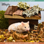Hendrik house for dwarf hamsters, mice and gerbils - 14 × 11 × 11 cm - Bark wood