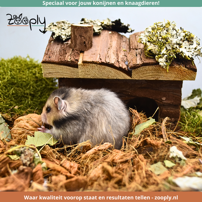 Zooply Forest Mix with Walnuts - 100 grams