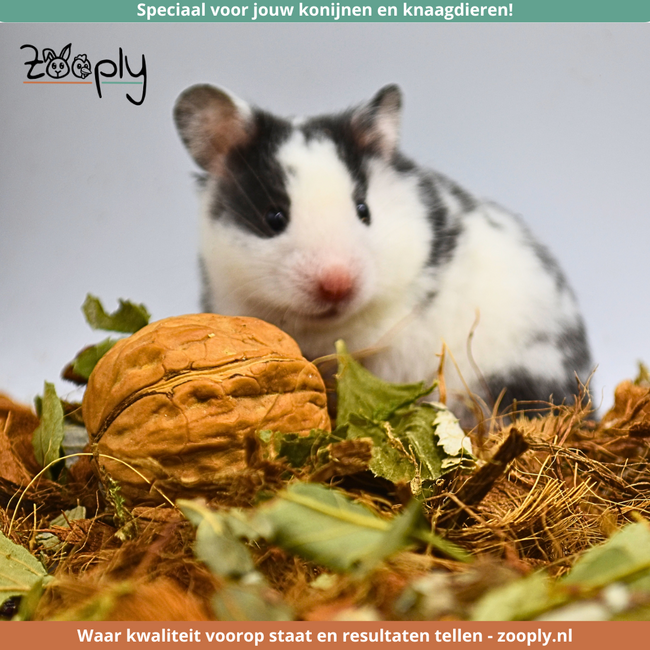 Forest mix with various leaves and walnuts – Mix for hamsterscaping – Specially for rodents - 150 grams