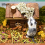 Zooply Stone Moss - Dried Flowers for Hamsters and Other Rodents - 75 grams