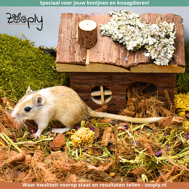 Scatter flowers with alfalfa and sunflower seeds for rodents – Foraging mix with flowers and seeds – Specially for rodents - 350 grams