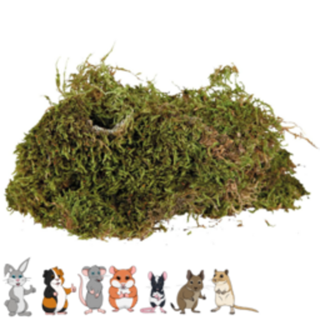 Knaagdiermos – Gedroogd mos voor knaagdieren - Perfect voor scapings - 250 gram