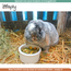 Zooply Ondersteuningsmuesli for Rabbits and Guinea Pigs - 5 kg