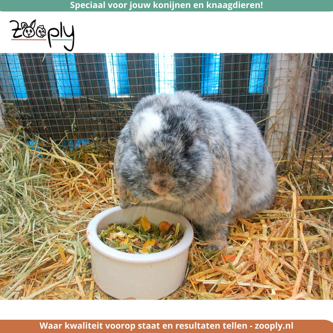 Zooply Ondersteuningsmuesli - Gezonde muesli voor konijnen en cavia's - Plastic zak of Emmer- 1250 gram