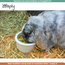 Zooply Support Muesli - Healthy muesli for rabbits and guinea pigs - Plastic bag or bucket - 1250 grams