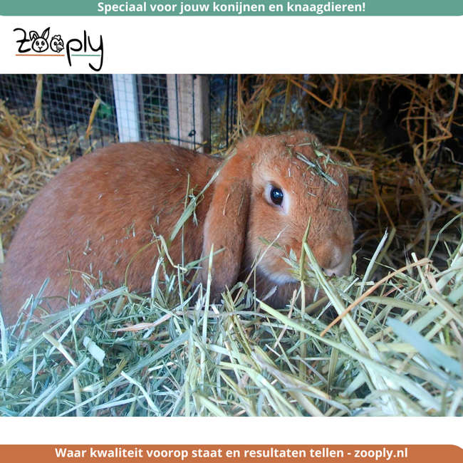 Zooply Weidehooi - Hooi voor konijnen en cavia's - 1 kg