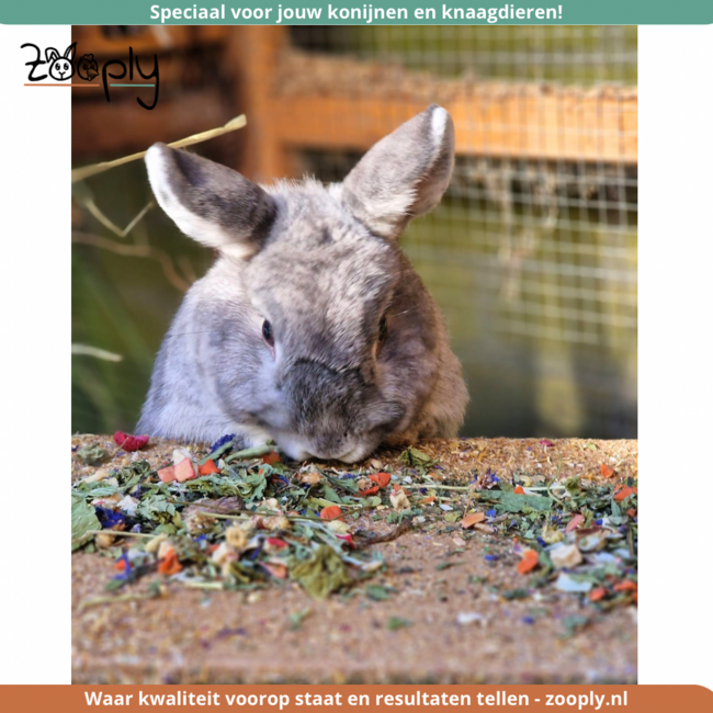 Zooply Hollandse Kruidenmix - Mix van kruiden voor konijnen, cavia's en knaagdieren - 500 gram
