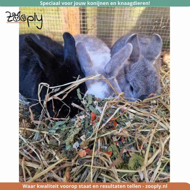 Zooply Hollandse Kruidenmix - Mix van kruiden voor konijnen, cavia's en knaagdieren - 500 gram