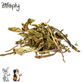 Zooply Brede Weegbree - 300 gram
