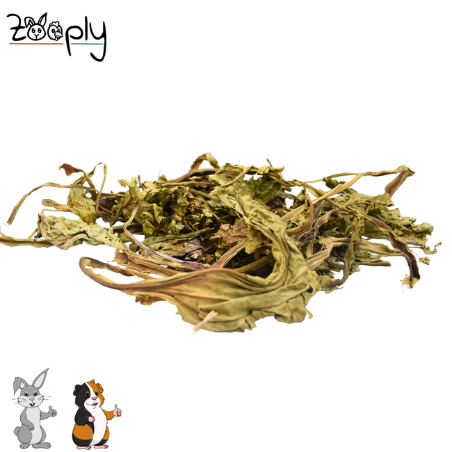 Zooply Brede Weegbree - Gedroogd(e) blad voor konijnen, cavia's en knaagdieren - 300 gram