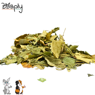 Zooply Fruitboom Bladerenmix - 300 gram