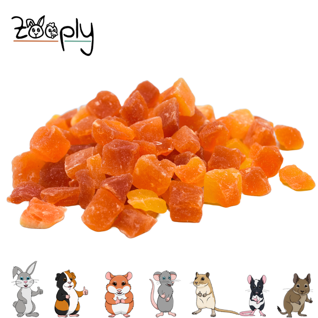 Zooply Papaya - Natural Snack for Rabbits, Guinea Pigs and Small Rodents - 300 grams