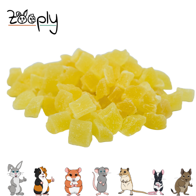 Zooply Ananas - Gedroogd fruit voor konijnen en knaagdieren - Gezonde snack