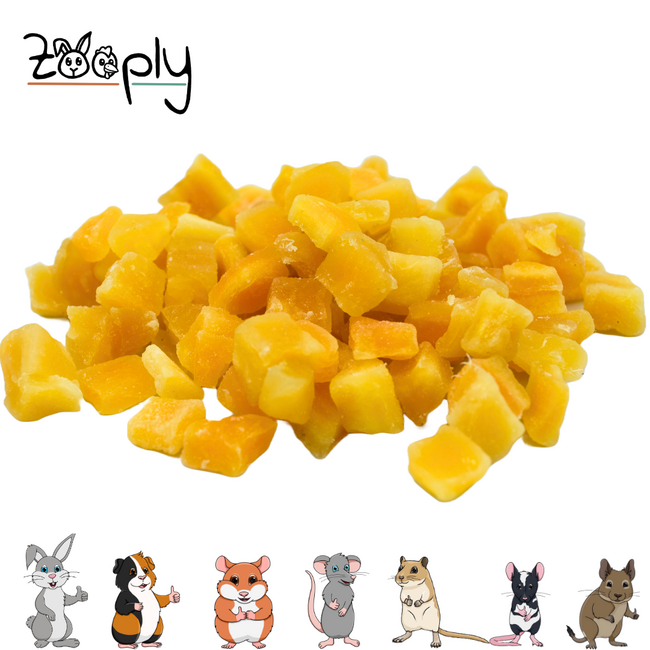 Zooply Mango - Gedroogde mango voor konijnen, cavia's en knaagdieren - Zoete snack