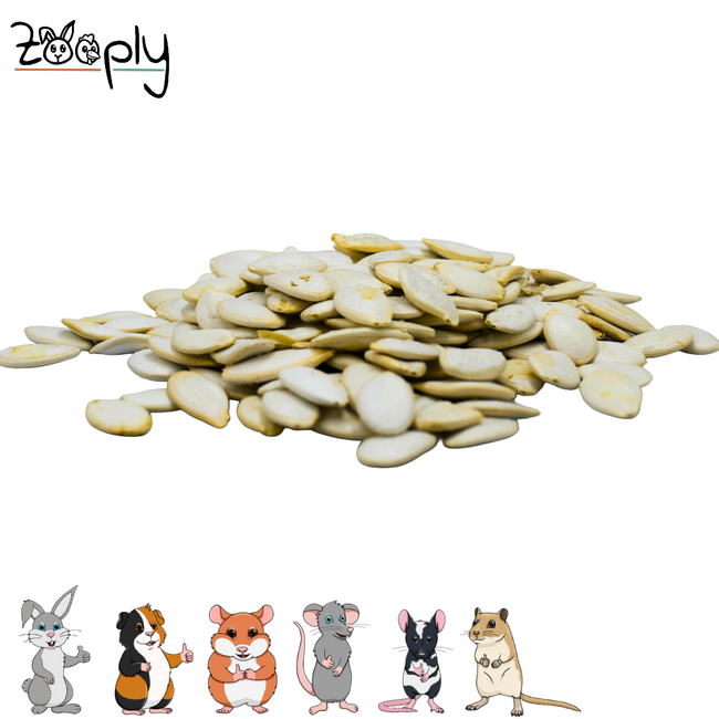 Zooply Pumpkin Seeds - Dried Seeds for Rodents - 200 grams