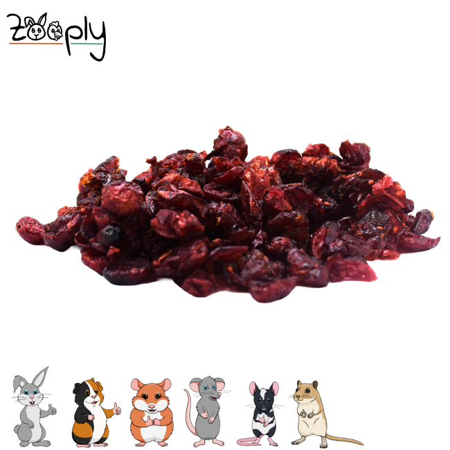 Zooply Cranberry - Natural Snack for Rabbits, Guinea Pigs and Small Rodents - 250 grams