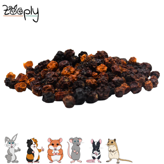 Zooply Lijsterbessen - 150 gram