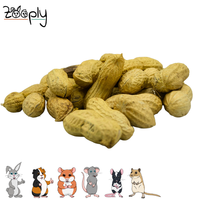 Zooply Double Peanuts - Dried seeds for rodents - Healthy snack