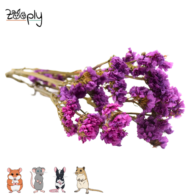 Zooply strandlavendel roze – gedroogde bloemen en grassen voor hamsters en andere knaagdieren – 70 gram