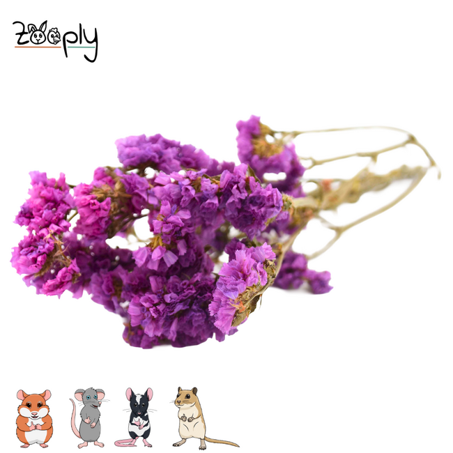 Zooply Strandlavendel Roze - Droogbloemen voor hamsters en andere knaagdieren - 70 gram