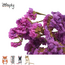 Zooply Strandlavendel Roze - Droogbloemen voor hamsters en andere knaagdieren - 70 gram