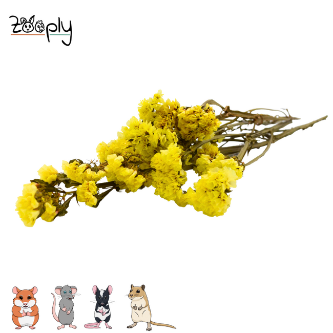 Zooply Sea Lavender - Yellow – Dried flowers and grasses for hamsters and other rodents - 70 grams
