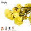 Zooply Strandlavendel Geel - Droogbloemen voor hamsters en andere knaagdieren - 70 gram