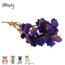 Zooply Strandlavendel Donker Violet - Droogbloemen voor hamsters en andere knaagdieren - 70 gram