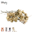 Zooply strandlavendel wit – gedroogde bloemen en grassen voor hamsters en andere knaagdieren – 70 gram