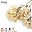 Zooply Strandlavendel Wit - Droogbloemen voor hamsters en andere knaagdieren - 70 gram
