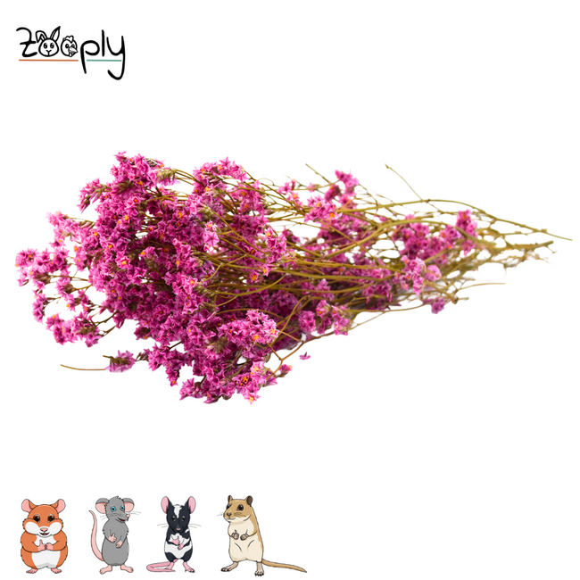 Zooply pink sea lavender – dried flowers and grasses for hamsters and other rodents – 70 grams