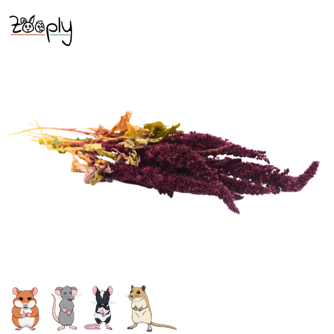 Zooply amaranth red – dried flowers and grasses for hamsters and other rodents – 70 grams