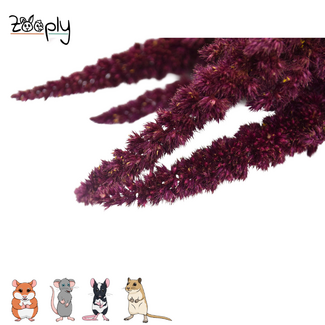 Zooply Amaranth – Red – 70 grams