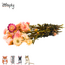 Zooply Strobloem Licht roze - Droogbloemen voor hamsters en andere knaagdieren - 70 gram