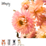 Zooply Strawflower Light Pink - Dried Flowers for Hamsters and Other Rodents - 70 grams