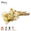 Zooply white strawflowers – dried flowers and grasses for hamsters and other rodents – 70 grams