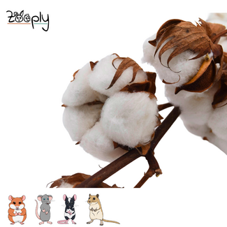 Zooply Cotton balls on branch – 80 grams
