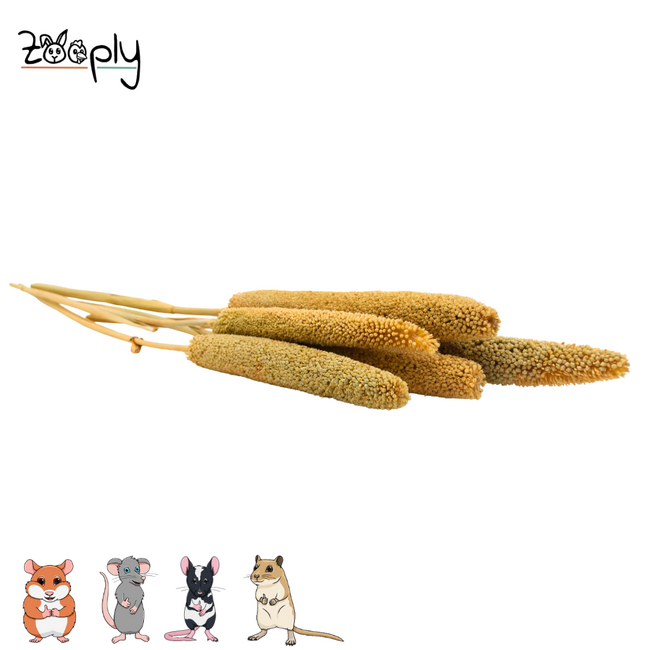 Zooply babala – dried flowers and grasses for hamsters and other rodents – 5 pieces