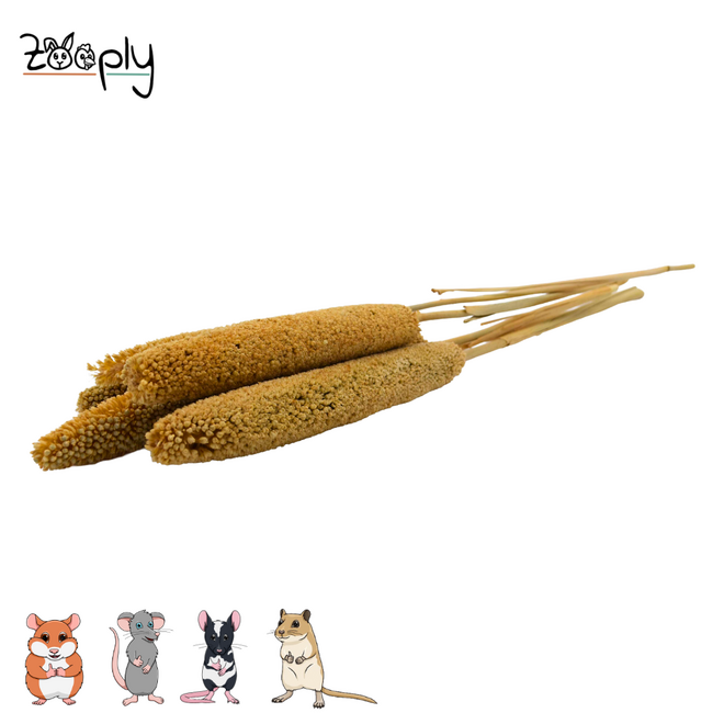 Zooply babala – gedroogde bloemen en grassen voor hamsters en andere knaagdieren – 5 stuks