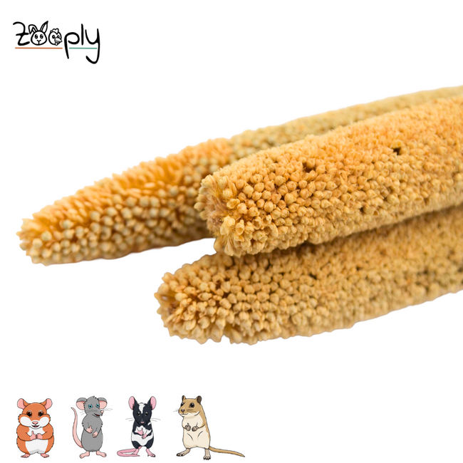 Zooply babala – gedroogde bloemen en grassen voor hamsters en andere knaagdieren – 5 stuks