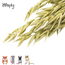 Zooply Haver - Droogbloemen voor hamsters en andere knaagdieren - 100 gram