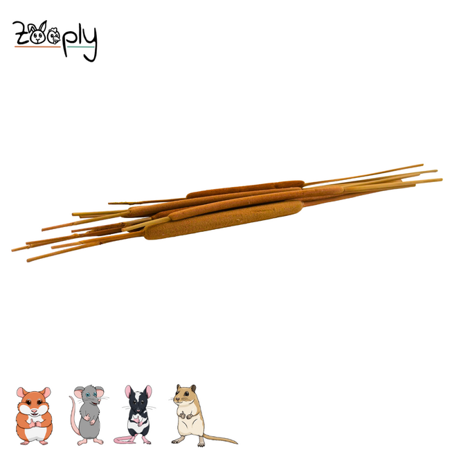 Zooply Rietsigaar – Gedroogde bloemen en grassen voor hamsters en andere knaagdieren - 10 stuks