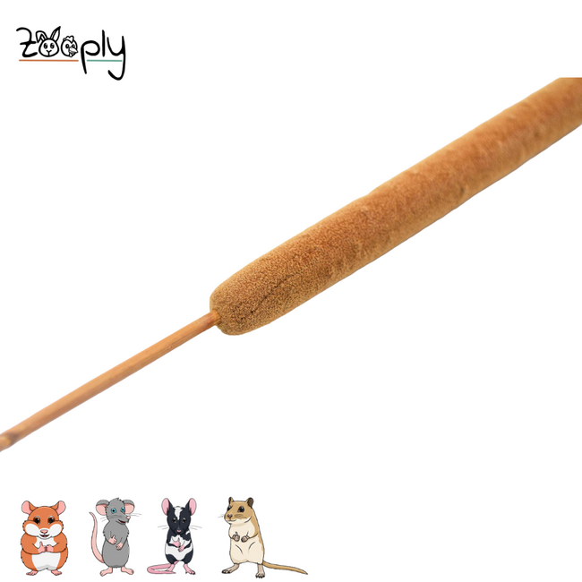 Zooply Reed Cigar – Dried flowers and grasses for hamsters and other rodents - 10 pieces