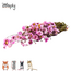 Zooply Madeliefje Roze - Droogbloemen voor hamsters en andere knaagdieren - 70 gram