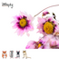 Zooply Madeliefje Roze - Droogbloemen voor hamsters en andere knaagdieren - 70 gram