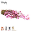 Zooply pink daisy – dried flowers and grasses for hamsters and other rodents – 70 grams