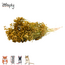 Zooply broom blossom – dried flowers and grasses for hamsters and other rodents – 70 grams