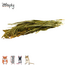 Zooply Millet Grass - Dried Flowers for Hamsters and Other Rodents - 100 grams